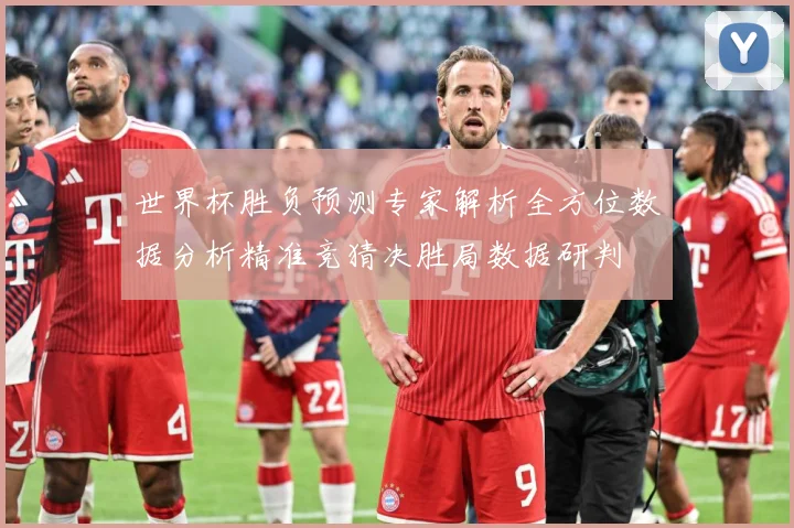 世界杯胜负预测专家解析全方位数据分析精准竞猜决胜局数据研判