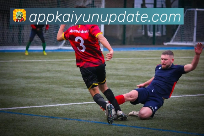 开云平台展示图